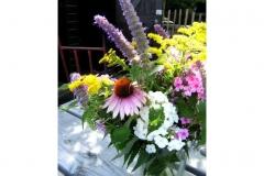 tuin14