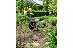 tuin5