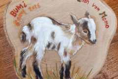 BOK