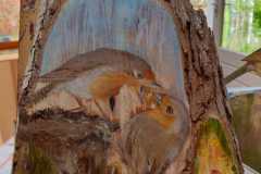 Roodborst