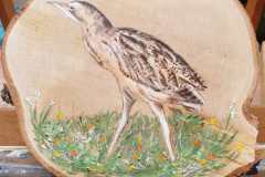 strandvogel