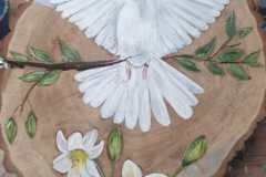 witteduif